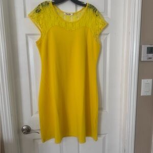 Yellow Lace Yoke Cap-Sleeve Dress